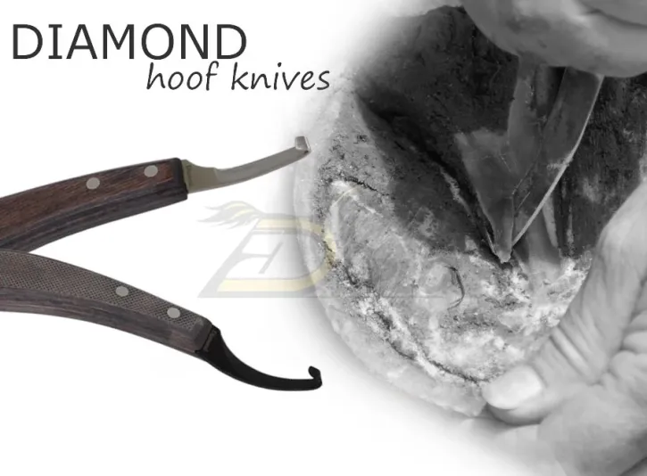 Coltelli da maniscalco Diamond – Precisione e qualità per la cura dello zoccolo