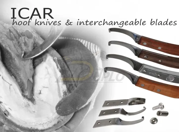 ICAR