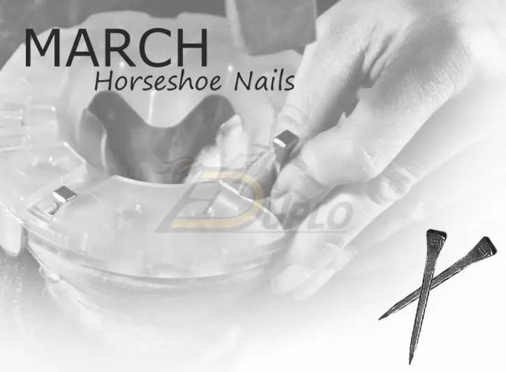 Hufnägel von March / März