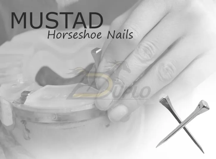Hufnägel von Mustad