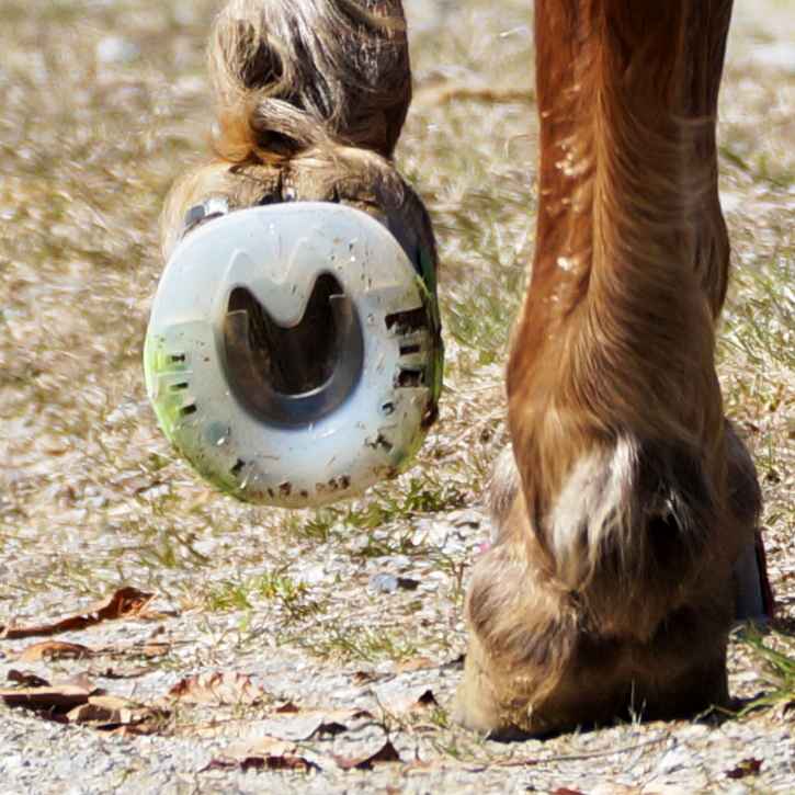 Fers à coller pour l'équitation - notre ferrure collée d'en bas