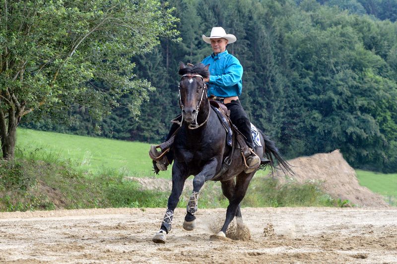 Cavallo Quater con ferrature composite e sliders