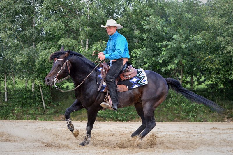 Quarterhorse in rotazione - protezione degli zoccoli alternativa nella parte anteriore, slider nella parte posteriore