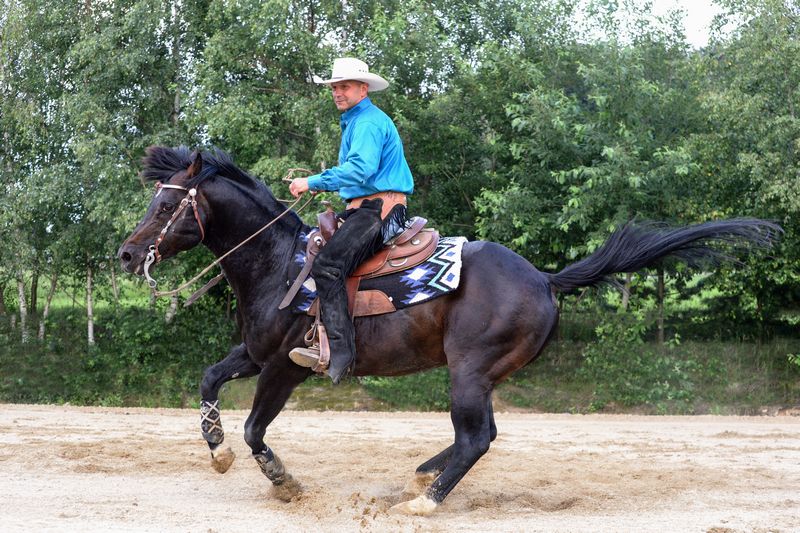 Cavallo Quarter in rotazione con ferri di cavallo ibridi sugli zoccoli anteriori e slider su quegli posterior