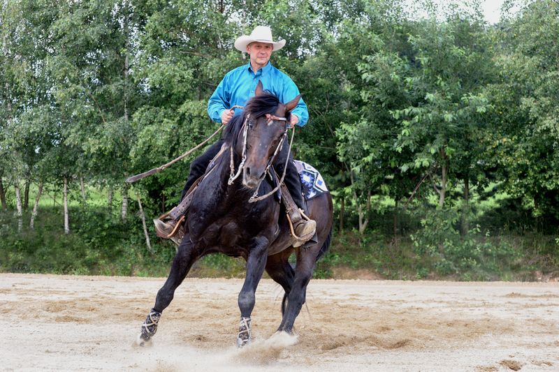 Cavallo quater in rotazione con ferrature di plastica con struttura interna di metallo sugli zoccoli anteriori e sliders sugli zoccoli posteriori