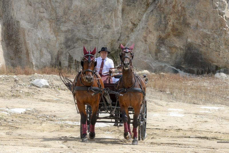 Des chevaux tirent une calèche dans un paysage rocailleux