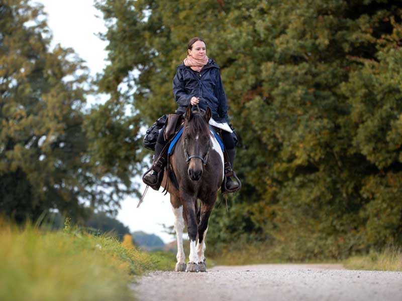 Wanderreiten mit Kusntstoffbeschlag