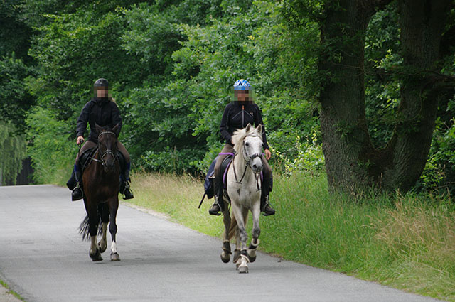 Cavaliers sur un cheval blanc et un cheval noir lors d'une randonnée d'endurance