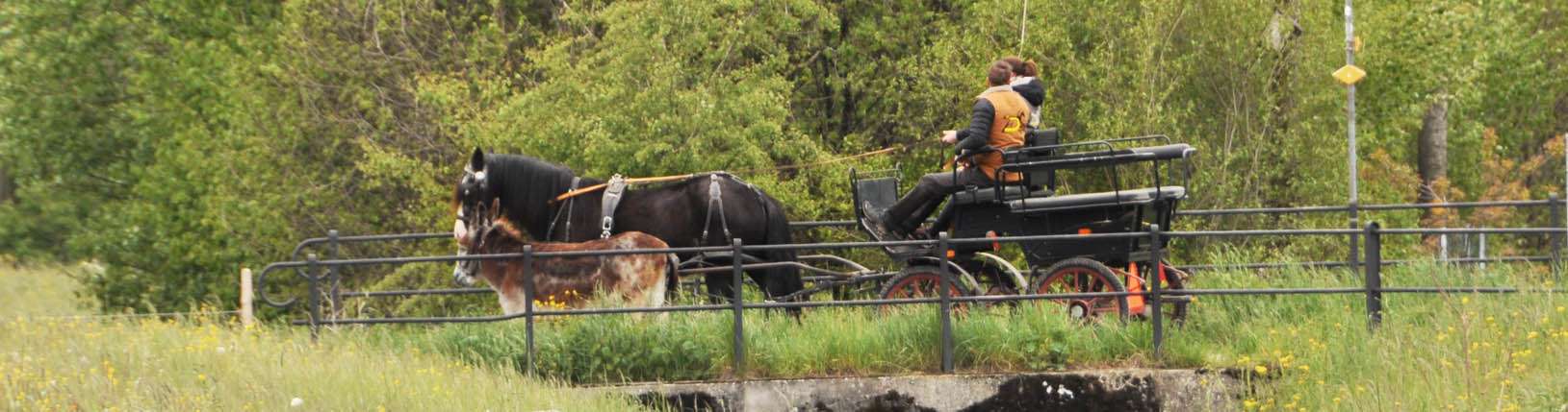 un couple traverse un pont en calèche à côté d'un âne qui marche avec