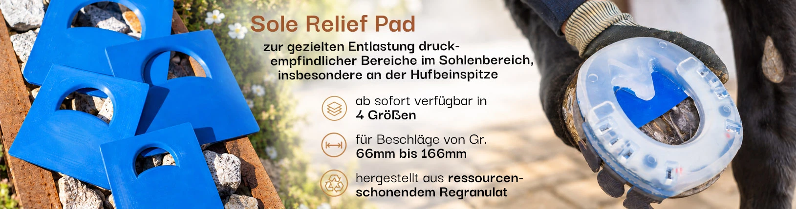 Sole Relief Pad