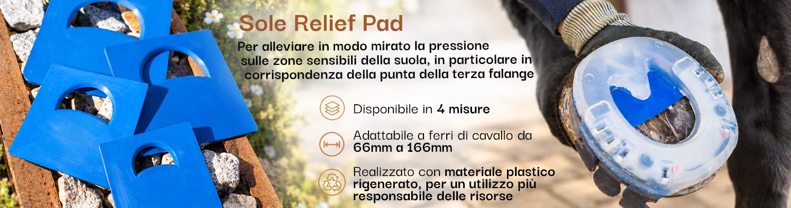 Sole Relief Pad