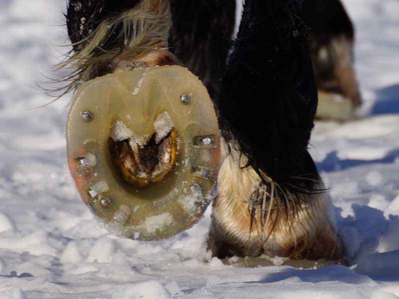 monter à cheval en hiver avec une protection de sabot alternative et des spikes