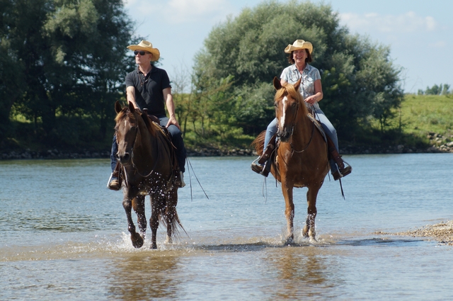 zwei Reiter reiten in der Donau