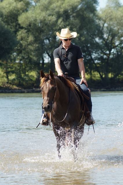 Reiter mit Cowboyhut reitet auf einem dunkelbraunen Pferd durch einen Fluss