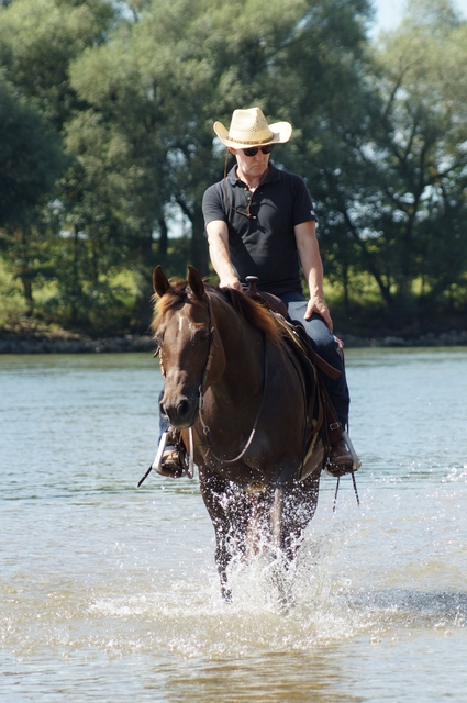 Cavalier avec chapeau de cow-boy chevauchant un cheval brun foncé à travers une rivière