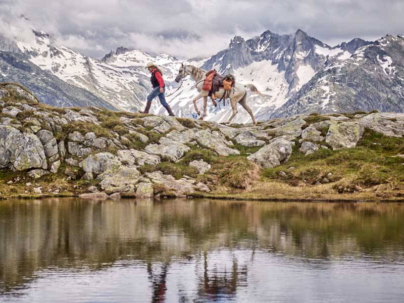 un cheval blanc est guidé sur un chemin rocailleux dans les Alpes, devant un lac