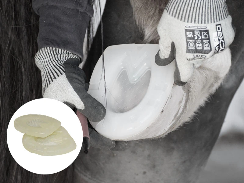 Le maréchal-ferrant teste la position de la plaque de base sur le sabot du cheval. Il porte des gants anti-coupure WonderGrip.