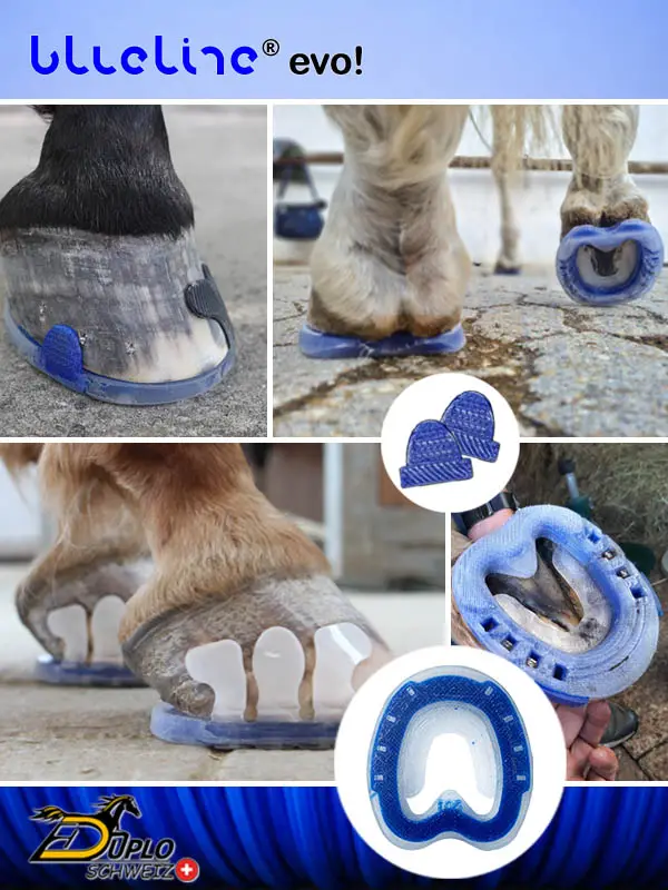 Der blueline evo Kombi-Hufbeschlag ist ein stoßdämpfender reiner Kunststoffbeschlag mit stabilem blauen Kern.