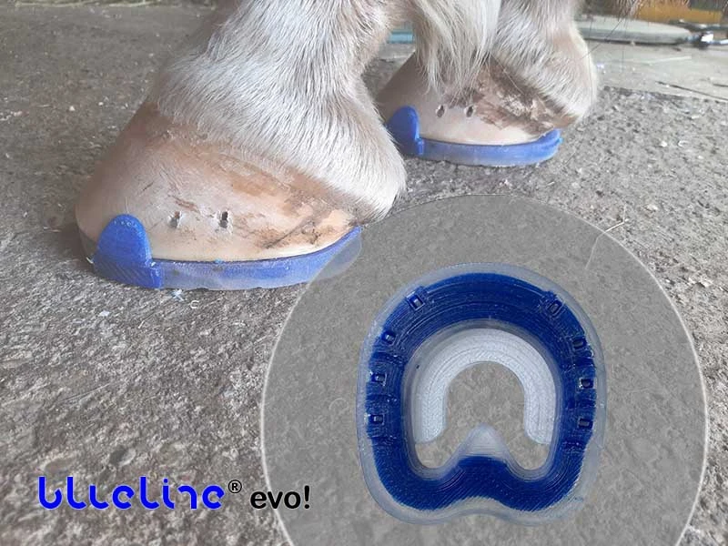 Immagine del modello roll-over della ferratura blueline® evo con nucleo plastico blu. Sullo sfondo due zoccoli ferrati con barbette.