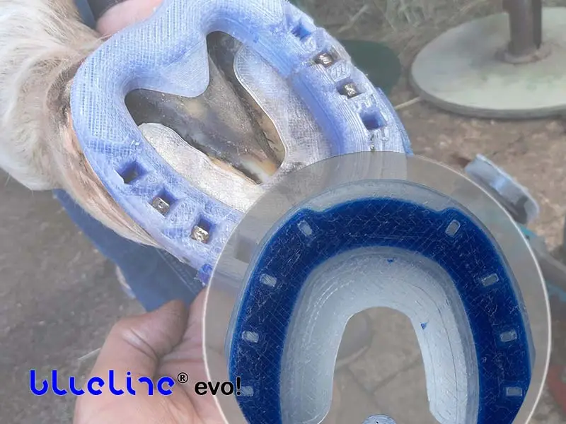 Dettaglio dei fori da chiodo della blueline® evo. La membrana chiude i fori sul lato inferiore.