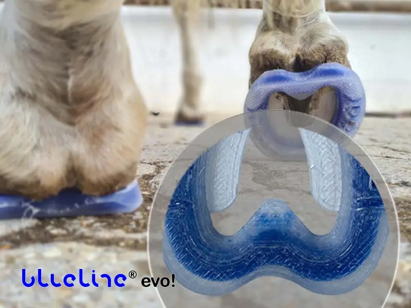 Dettaglio del supporto per il fettone nella blueline® evo. Sullo sfondo, due zoccoli rivestiti con evo!.