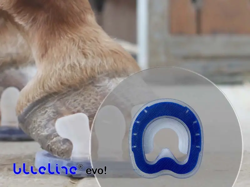 Vista dettagliata della ferratura combinata blueline® evo con nucleo in plastica blu. Sullo sfondo, vista laterale di uno zoccolo con linguetta adesiva Wolf Busch®.