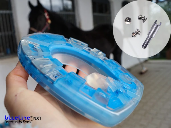 La maniscalca tiene il blueline® NXT davanti alla fotocamera. Sullo sfondo si vede un cavallo. In un riquadro informativo sono visibili gli spikes e un adattatore compatibile.