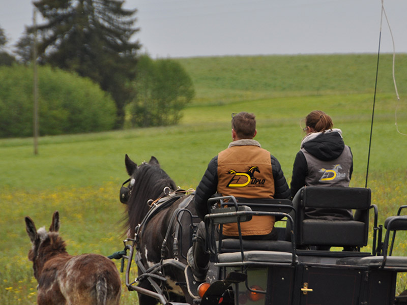 Kutschfahrt in der Schweiz