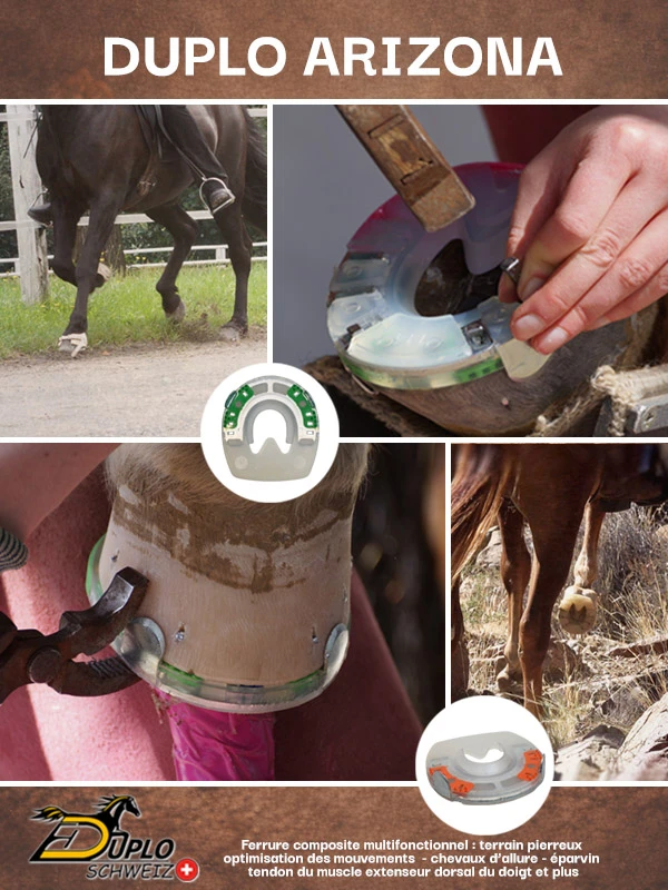 Ferrure hybride avec pinçons latéraux, profil et arête en acier pour différentes applications : pour terrains pierreux, pour l’optimisation des allures, comme ferrure en cas l’éparvin, en cas de problèmes du muscle extenseur dorsal du doigt et plus encore.