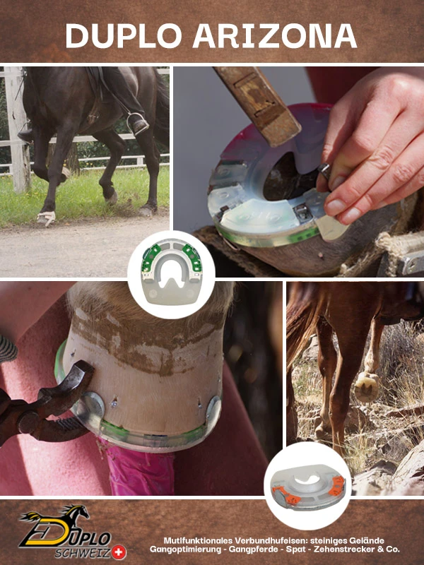 Collage für Verbundhufeisen mit Seitenkappen, Profil und Stahlante. Das Bild zeigt die verschiedenen Anwendungsmöglichkeiten. Für steiniges Gelände, zur Gangoptimierung bei Gangpferden, als Spateisen, bei Problemen mit dem Zehenstrecker und mehr.