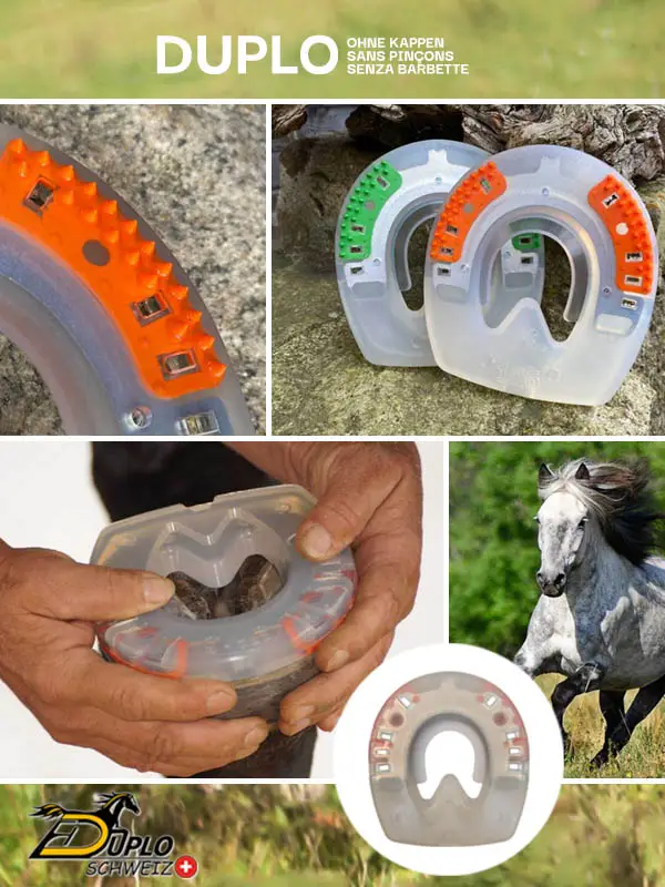 Collage di un ferro composito senza barbette – per una libertà di movimento ottimale della capsula cornea, un rischio di lesioni ridotto e molteplici possibilità di utilizzo. Disponibile in diverse forme per anteriori e posteriori e in vari gradi di durezza per l’estate e l’inverno.