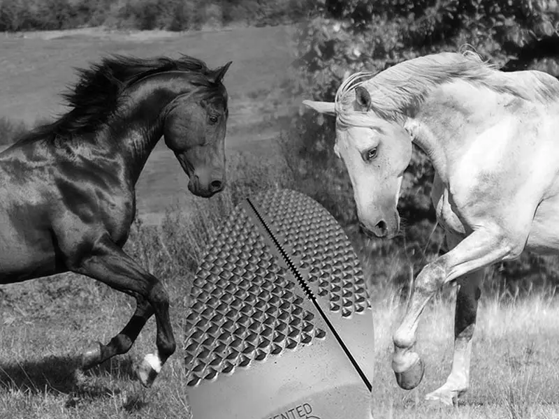 Immagine simbolica per le raspe DARK HORSE e WHITE HORSE di Save Edge - un cavallo nero e uno bianco galoppano nel paddock. In una grafica ovale si vede la struttura dentata delle raspe.