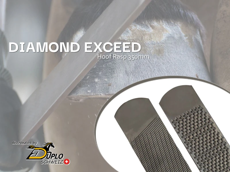 Detailaufnahme beim Raspeln eines Hufs, ergänzt durch Produktansichten der beiden Seiten der Diamond Exceed Hufraspel 350mm.