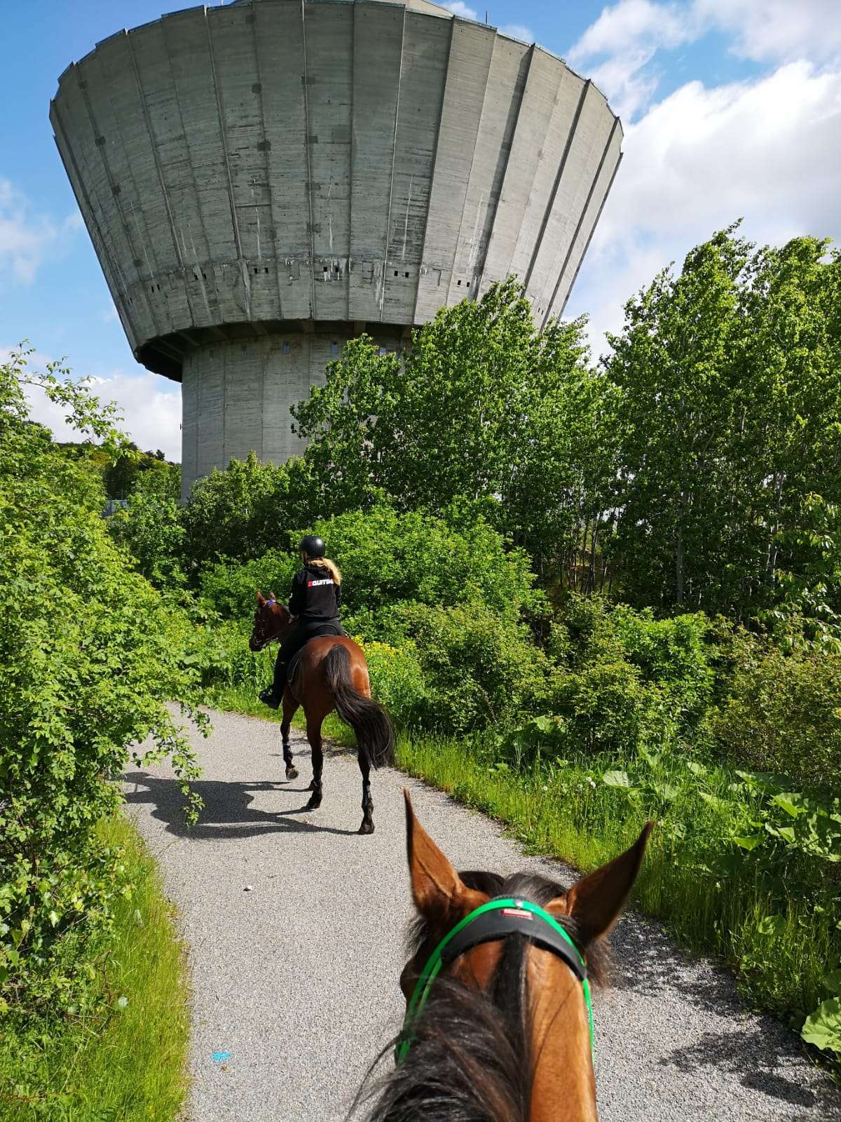 Cavaliers d'endurance en route