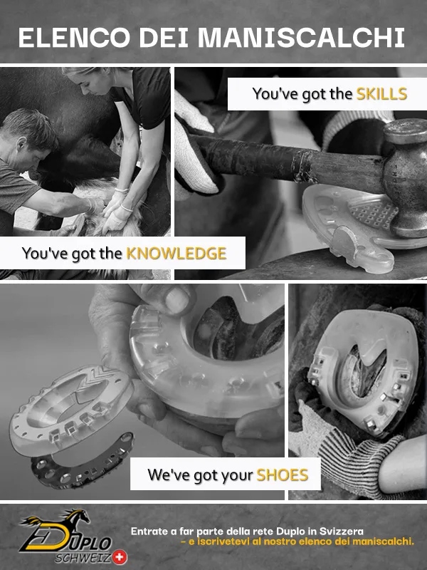 Informazioni sull’elenco dei professionisti dello zoccolo in Svizzera – trovate specialisti che lavorano con ferri di cavallo, ferrature in plastica e ferri compositi