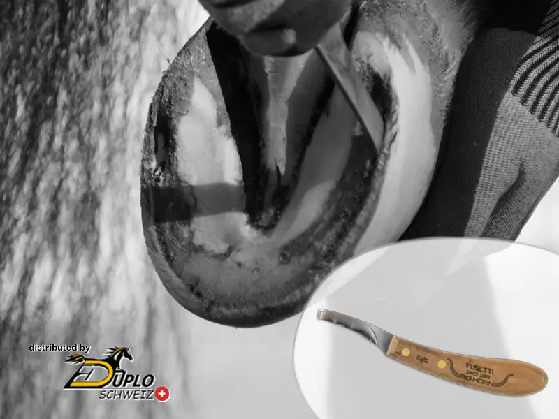 Pferdehuf bei der Bearbeitung mit einem Hufmesser; Produktabbildung eines Double S 'Fusetti Big Horn' Hufmessers mit Holzgriff und gebogener Klinge sowie Duplo Schweiz Logo.