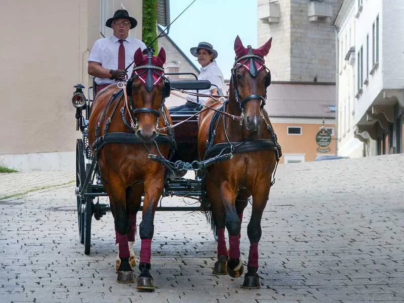 Kutschgespann auf Pflaster in der Altstadt