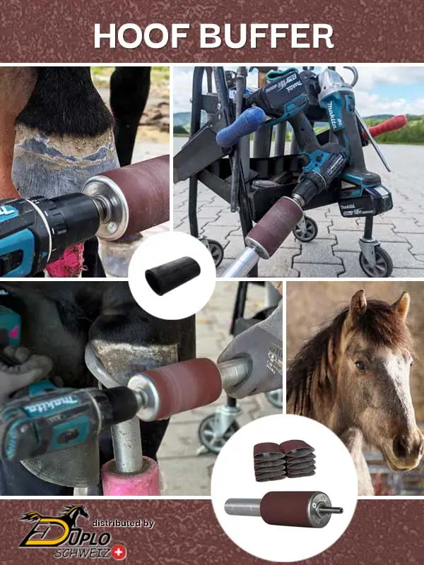 Die Arbeit mit dem Hoof Buffer zum Aufrauen der Hufwand beim Pferd: ein Pferdekopf, Finish am Huf, Barhufbearbeitung und der Werkzeugwagen eines Hufschmieds mit Beschlagswerkzeug und Hoof Buffer.