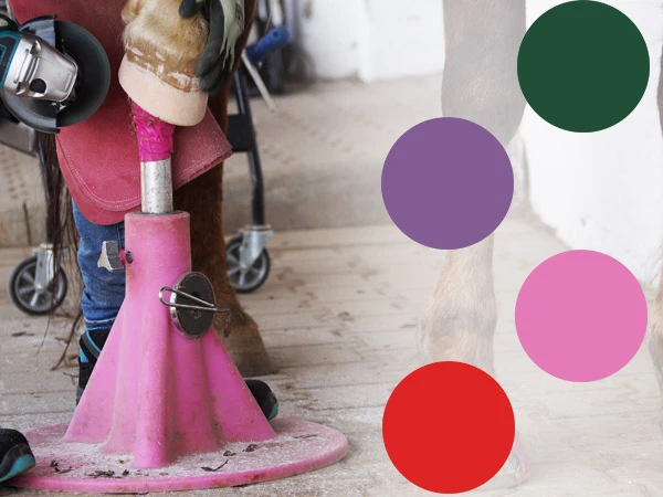 Kerckhaert Hoofjack® Regular in diversi colori – cavalletto poggiapiede stabile con base in plastica verde, viola, rossa e rosa per ferratura e pareggio.