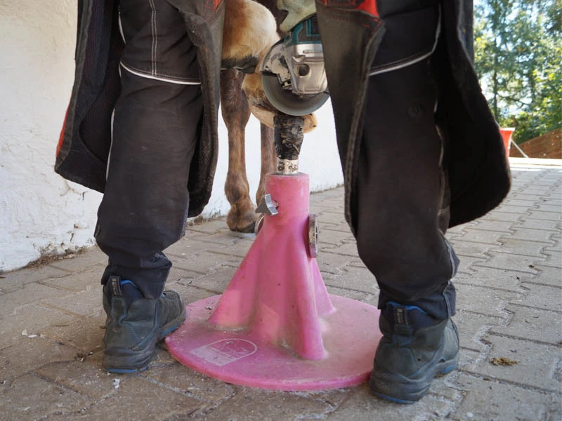 Maniscalco lavora lo zoccolo di un cavallo su un Hoofjack® rosa con smerigliatrice.