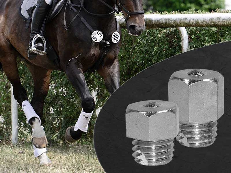 Cavallo che galoppa su un campo in una gara di eventing