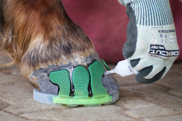 Versiegeln der Klebelaschen Wolf Busch zur Verbesserung der Haltbarkeit des Klebebeschlags Versiegeln der Klebelaschen Wolf Busch zur Verbesserung der Haltbarkeit des Klebebeschlags