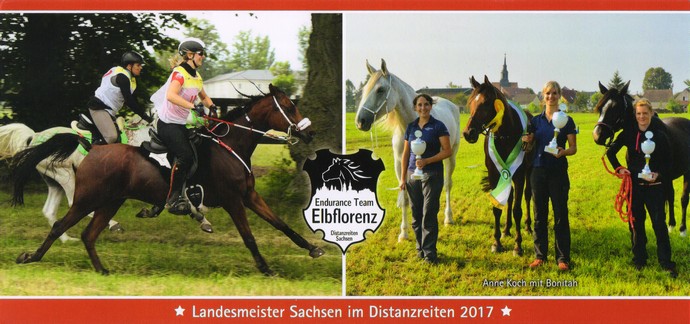 Landesmeister Distanzreiten 2017 - Endurance Team Elbflorenz