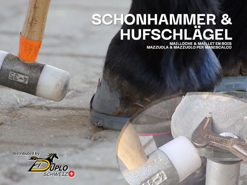Schonhammer und Hufschlägel für Hufschmiede und Hufbearbeiter im Einsatz am Pferdehuf. Das Bild zeigt einen beschlagenen Pferdehuf sowie einen robusten Schonhammer mit Kunststoffkopf und Holzstiel für präzise Arbeiten bei der Hufbearbeitung..