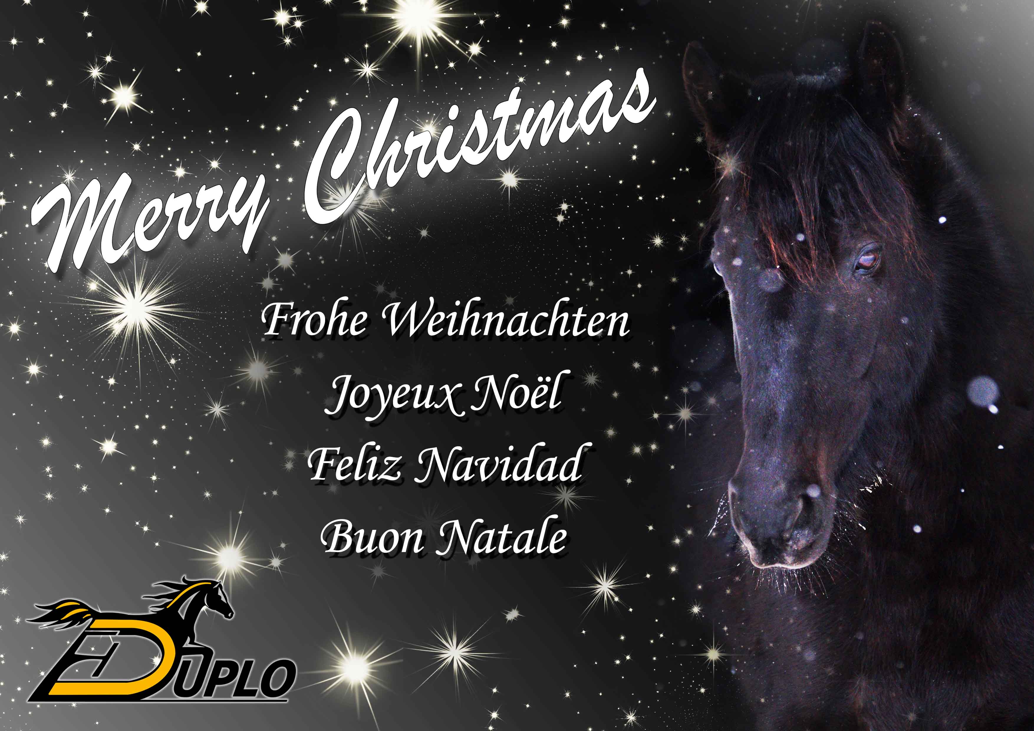 Frohe Weihnachten und ein gutes neues Jahr! Frohe Weihnachten und ein gutes neues Jahr!