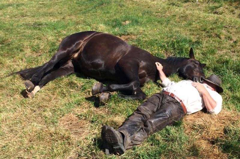 Pferd und Besitzer liegen nebeneinander in der Wiese