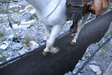 Hufe beim reiten über eine Wasserleitung aus Eisen in den Bergen