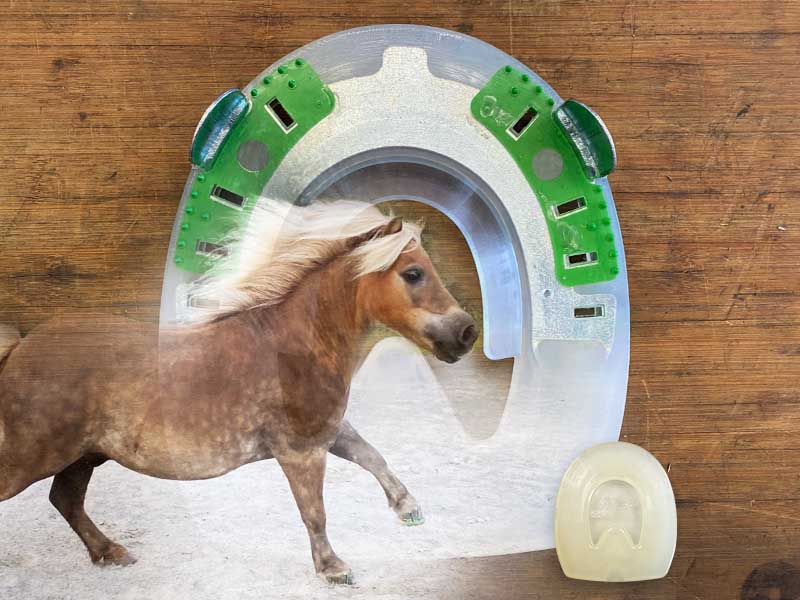 un pony galoppa, sullo sfondo si vede una ferratura composita per cavalli a sangue freddo e una ferratura pony da 50 mm per zoccoli piccoli