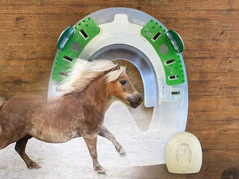 Un pony al galoppo; sullo sfondo si vede una ferratura composita per cavalli da tiro e una ferratura da 50 mm per zoccoli piccoli