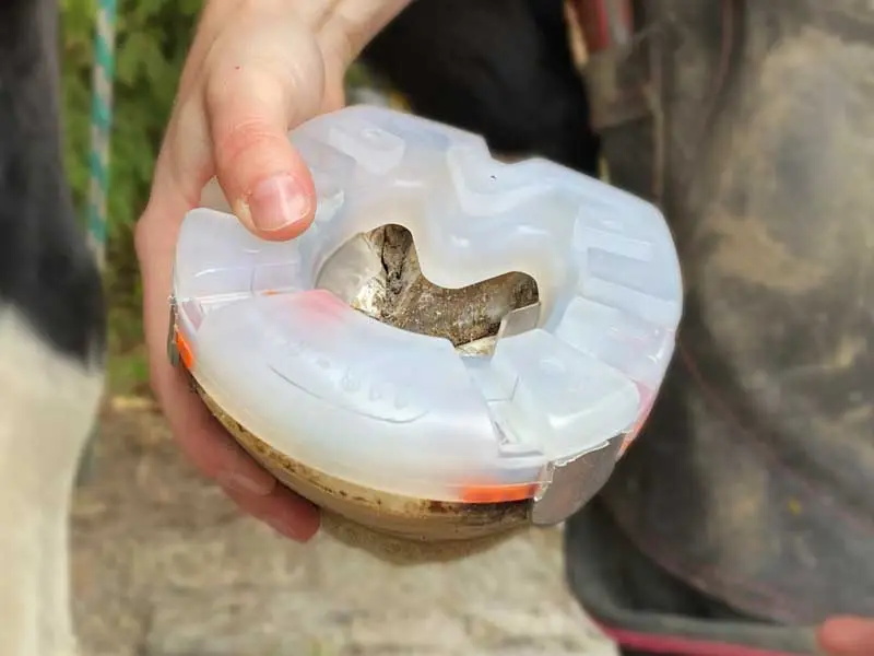 Heavy Duty Shoe comme ferrure profilée avec un équipement particulièrement solide